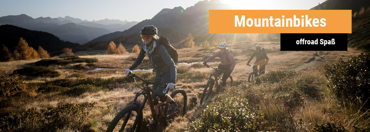 Drei Glückliche Personen die mit dem Fahrrad im Gelände bei Sonnenuntergang fahren.