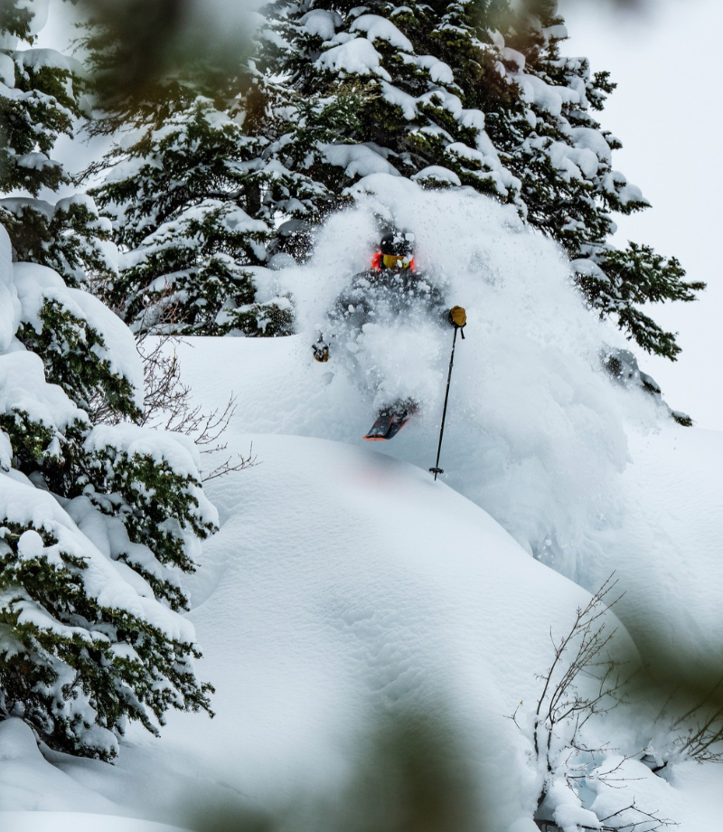 Person beim skifahren im Wald
