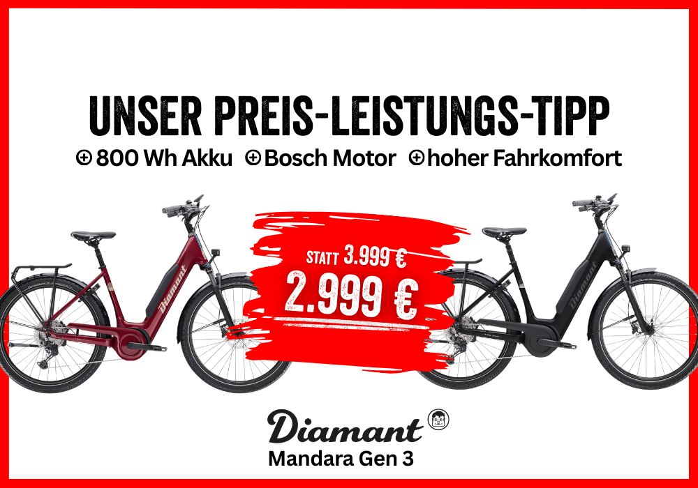 Diamant Mandara Gen 3 E-Trekkingbike mit 800 Wh Akku und Bosch Motor